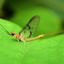 볕우물어린이공원 이미지