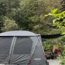 오크 펜션 | [이천] 스테이272 -캠핑장 &amp; 글램핑장 / 엘더2, 골든오크 이용 내돈내산 후기