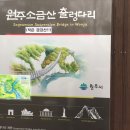 원주 간현관광지 소금산 출렁다리 방문후기