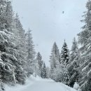 도화한의원 이미지