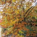 불광2-001 | 11월 북한산 (향로봉-족두리봉)