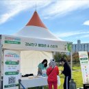 2024 강남생활문화축제 후기 - 시민기획단 참여