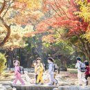 해돋이유치원 이미지