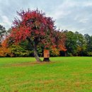 패브릭 아트 이미지