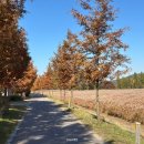 어린이소공원 화장실 이미지