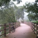 힐링기체조 이미지