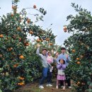 지승농장 이미지