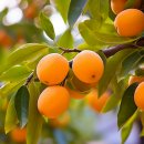 한사랑이비인후과의원 이미지