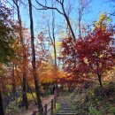 산이랑 강이랑 이미지