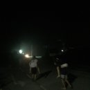 오크앨리 이미지