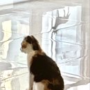 창생동물병원 이미지