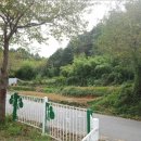 남해-255 네이버블로그