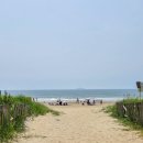 밧개플레이스 이미지