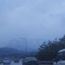 청파반건조수산 네이버블로그