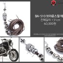 찡바이크 Daum카페