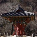 장수사 | 원학 뛰노는 탈속 공간서 진리 찾는 화엄의 숲 이르길!