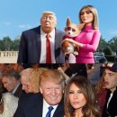 프린스펫 이미지