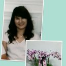 리 헤어피카소