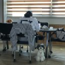 상구스타일 이미지