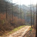 분당내곡간 고속도로 이미지