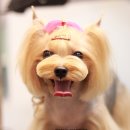 미소 이미지