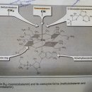 B12-2 이미지