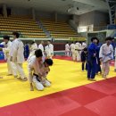 호신태권도 | 집중해야 하는 이유 (부안 새만금 컵 생활체육 유도 대회 참가 후기) / 호신 유도, 군산 유도, 나운동 유도