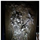 우석헌자연사박물관 이미지