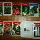 바보탱이 이미지