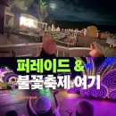 불꽃 | 용인 에버랜드 퍼레이드 불꽃축제 후기, 어디서 봐야 좋을까?