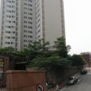 금정당약국 Daum카페