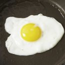 엔젤NZ 이미지