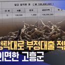 정책자금 대출 주의하세요... 이미지