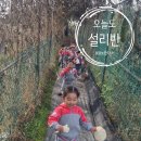 설리반어린이집 이미지