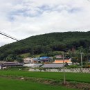 송정행정사사무소 이미지