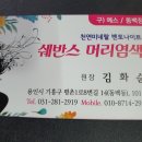 천연머리염색 쉐반스