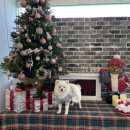 멍라이프 이미지