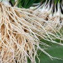 뿌리마트 이미지