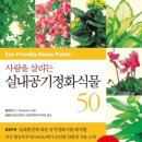 식물안 이미지