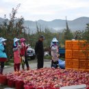 다마소리 이미지