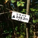 월평 삼거리 이미지