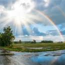 강동연세비뇨의학과의원 이미지