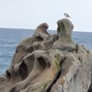 아들바위 이미지