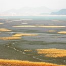 갯벌정원 이미지