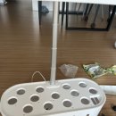 🪴 작은 정원이 우리 집에 찾아왔어요 – 알리 스마트 수경재배기 후기