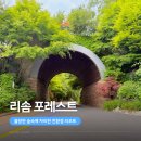 제천 리솜 포레스트 숙소 후기 가족여행으로 만족했던 리조트