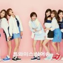 나인레빗