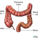 웰빙 쇼핑몰 이미지