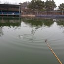 톨게이트 낚시터 이미지