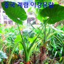 중국계림桂林(구이린)여행ㅡ 이강 유람 복파산ㅡ 이 마원은 광무제가 내린 직위인ㅡ 복파장군'으로도 유명하다 ㅡ 이미지